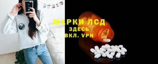 прущие грибы Новокубанск