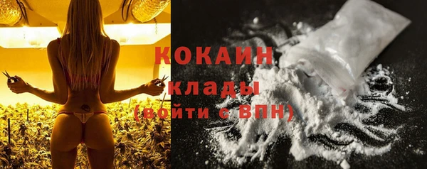 дурь Нея