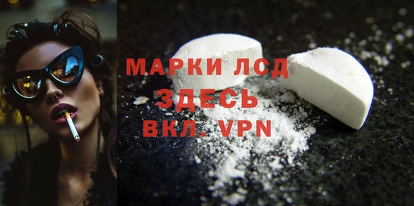 спиды Новозыбков