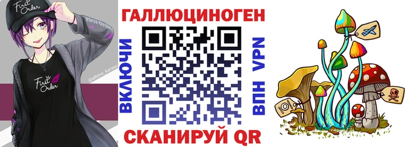 KRAKEN зеркало  Магадан  маркетплейс как зайти  Псилоцибиновые грибы прущие грибы 