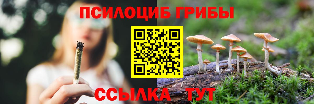 Галлюциногенные грибы мухоморы Магадан