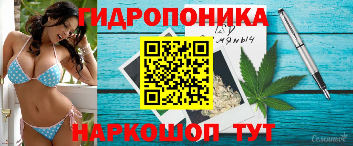 Бошки марихуана THC 21% Магадан